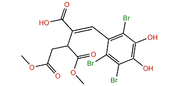 Symphyocladin K